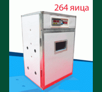 Инкубатор автомат на АИ- 264 яиц