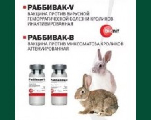 Вакцина для кроликов V и В(Раббивак)