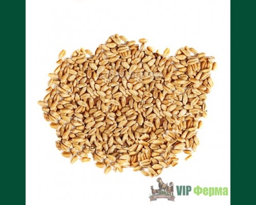 пшеница дробленая 40 кг